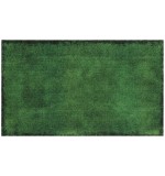 Fußmatte Colour Motion Tea Green XL