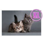 Fußmatte Gallery Kitten XL