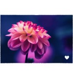 Fußmatte Blume rosa 50 cm x 75 cm