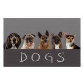 Fußmatte Gallery Dogs