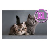 Fußmatte Gallery Kitten XL