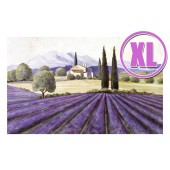 Fußmatte Gallery Provence XL