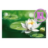 Fußmatte Gallery Wasserlilie XL