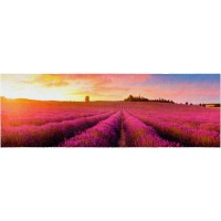 Fußmatte Lavendelfeld 50 cm x 150 cm