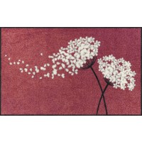 Fußmatte Wishfull Blossom berry XL