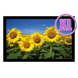 Fußmatte Deco & Wash Sonnenblumen XL
