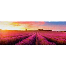 Fußmatte Lavendelfeld 65 cm x 180 cm