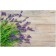 Fußmatte Lavendel 50 cm x 75 cm