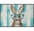 Fußmatte Smart Rabbit 50 cm x 75 cm