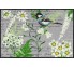 Fußmatte Spring Poetry grey 50 cm x 75 cm